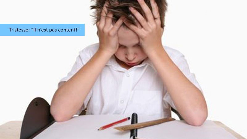 Présentation des émotions