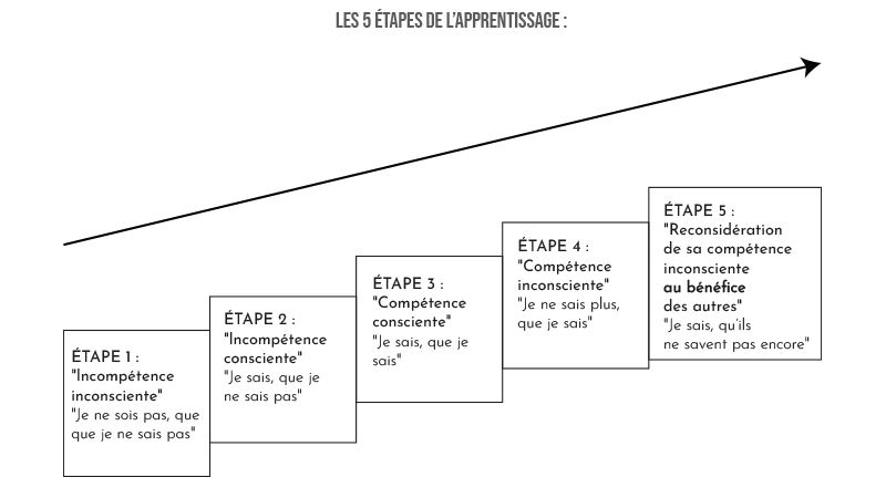 Les 5 étapes de l’apprentissage